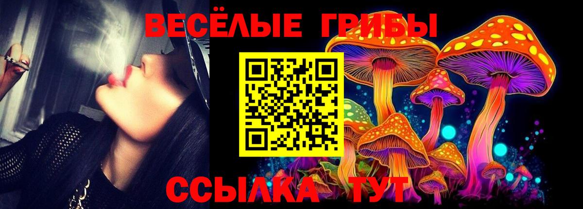 Псилоцибиновые грибы прущие грибы  Псилоцибиновые грибы мицелий  Сибай  Вход с VPN 